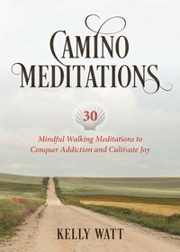bokomslag Camino Meditations