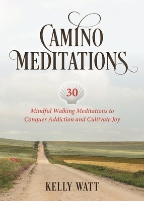 Camino Meditations 1