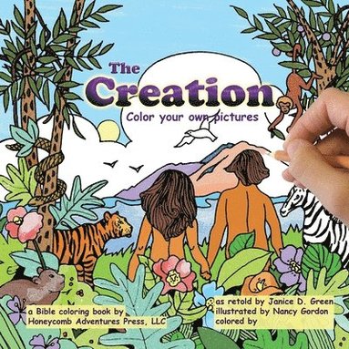 Janice D Green - Creation, Häftad