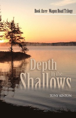 bokomslag Depth in the Shallows