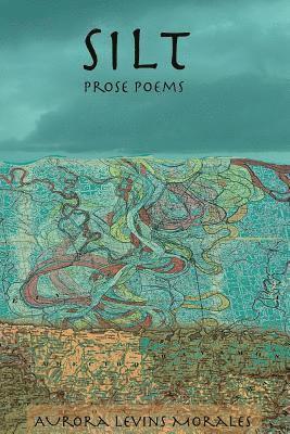 bokomslag Silt: Prose Poems