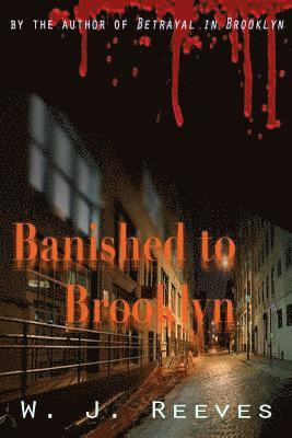 bokomslag Banished to Brooklyn