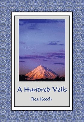 bokomslag Hundred Veils