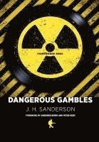 bokomslag Dangerous Gambles