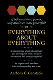bokomslag Everything About Everything: If Information Is Power, Why Aren't We More Powerful?