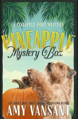 Pineapple Mystery Box