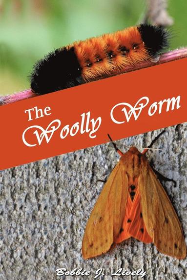 bokomslag Woolly Worm