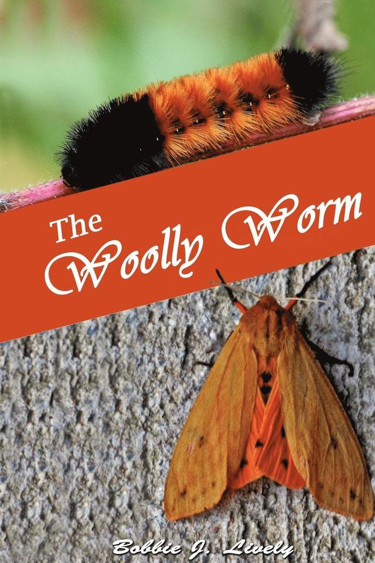 The Woolly Worm 1