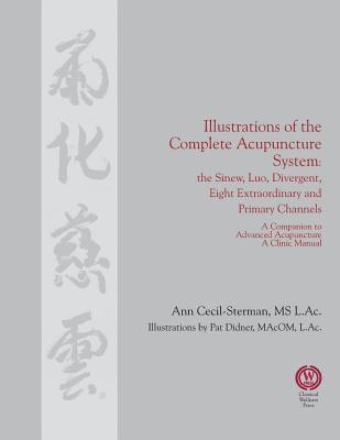 bokomslag Illustrations of the Complete Acupuncture System