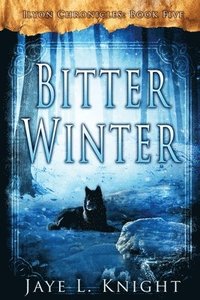 bokomslag Bitter Winter