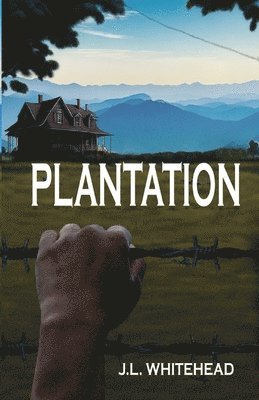 Plantation 1