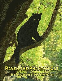 bokomslag Raven The Phantom Cat