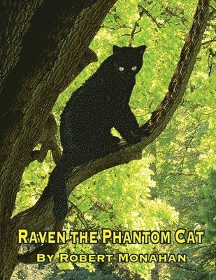 Raven The Phantom Cat 1