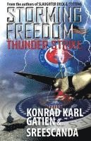 bokomslag STORMING FREEDOM