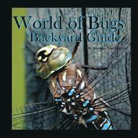 World of Bugs 2: Backyard Guide 1