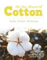 In The Land of Cotton 1