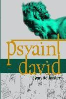 bokomslag Psyaint David: A Short But Reliable Narrative of Six months of Fun and Mayhem in the City of the Gods