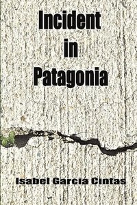 bokomslag Incident in Patagonia