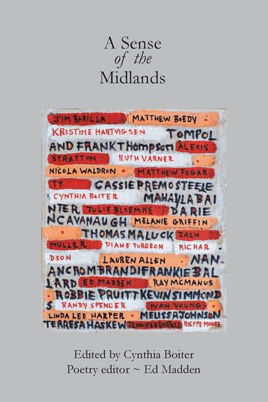 Cynthia A Boiter, Ed Madden - Sense of the Midlands, Häftad