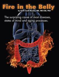 bokomslag Fire In The Belly: The Surprising Cause of Most Diseases, States Of Mind and Aging Processes