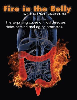 Fire In The Belly: The Surprising Cause of Most Diseases, States Of Mind and Aging Processes 1