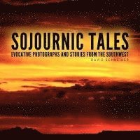 bokomslag Sojournic Tales