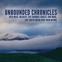 bokomslag Unbounded Chronicles