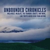 Unbounded Chronicles 1