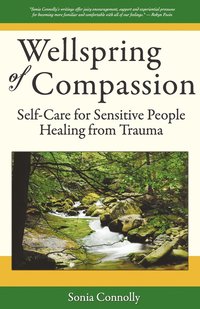 bokomslag Wellspring of Compassion