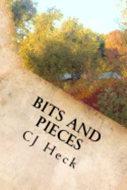 bokomslag Bits and Pieces: Short Stories from a Writer's Soul