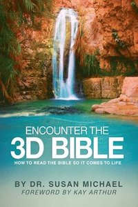 bokomslag Encounter the 3D Bible