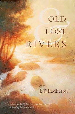 bokomslag Old & Lost Rivers