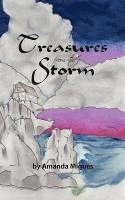 bokomslag Treasures from the Storm