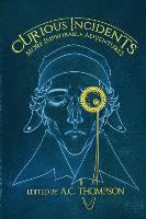 Melissa McArthur, A. C. Thompson - Curious Incidents: More Improbable Adventures, Häftad