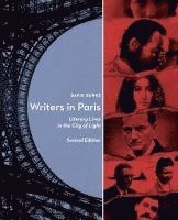 bokomslag Writers in Paris: Literary Lives in the City of Light