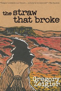 bokomslag Straw That Broke