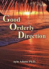 Ayin Adams - Good Orderly Direction, Häftad