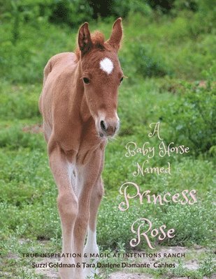 bokomslag A Baby Horse Named Princess Rose: True Inspiration & Magic at Intentions Ranch