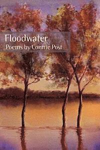 Floodwater 1