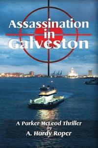 bokomslag Assassination In Galveston