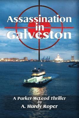 bokomslag Assassination In Galveston