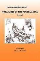 bokomslag The Prospector's Secret-Treasures of the Pimeria Alta