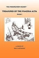 The Prospector's Secret-Treasures of the Pimeria Alta 1