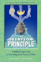 bokomslag The Overflow Principle