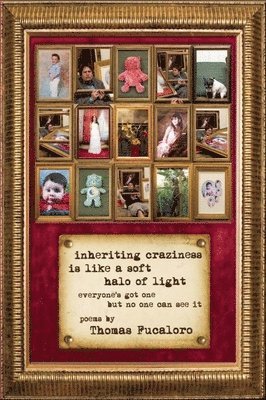 Thomas Fucaloro - Inheriting Craziness Is Like a Soft Halo of Light, Häftad
