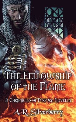 bokomslag The Fellowship of the Flame