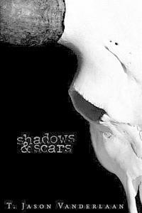 bokomslag Shadows & Scars: [The DarkLight Series - Book 2]