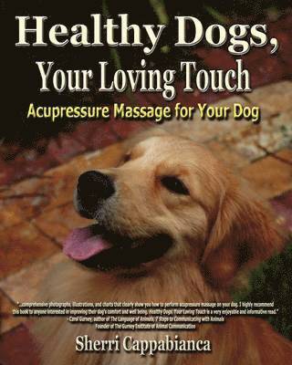 bokomslag Healthy Dogs, Your Loving Touch