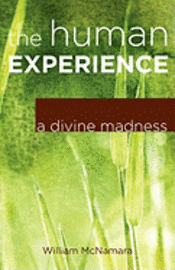 bokomslag The Human Experience: A Divine Madness