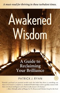 bokomslag Awakened Wisdom